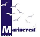 Marinevest